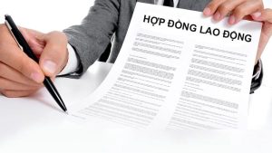 HỢP ĐỒNG LAO ĐỘNG (2)