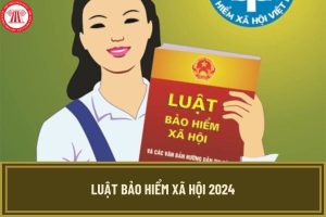 Luật bảo hiểm xã hội 2024