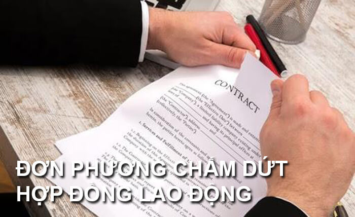 don phuong cham dut hop dong lao dong