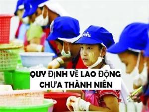 Thông tư số 09/2020/TT-BLĐTBXH quy định chi tiết và hướng dẫn thi hành một số điều của Bộ luật Lao động về lao động chưa thành niên