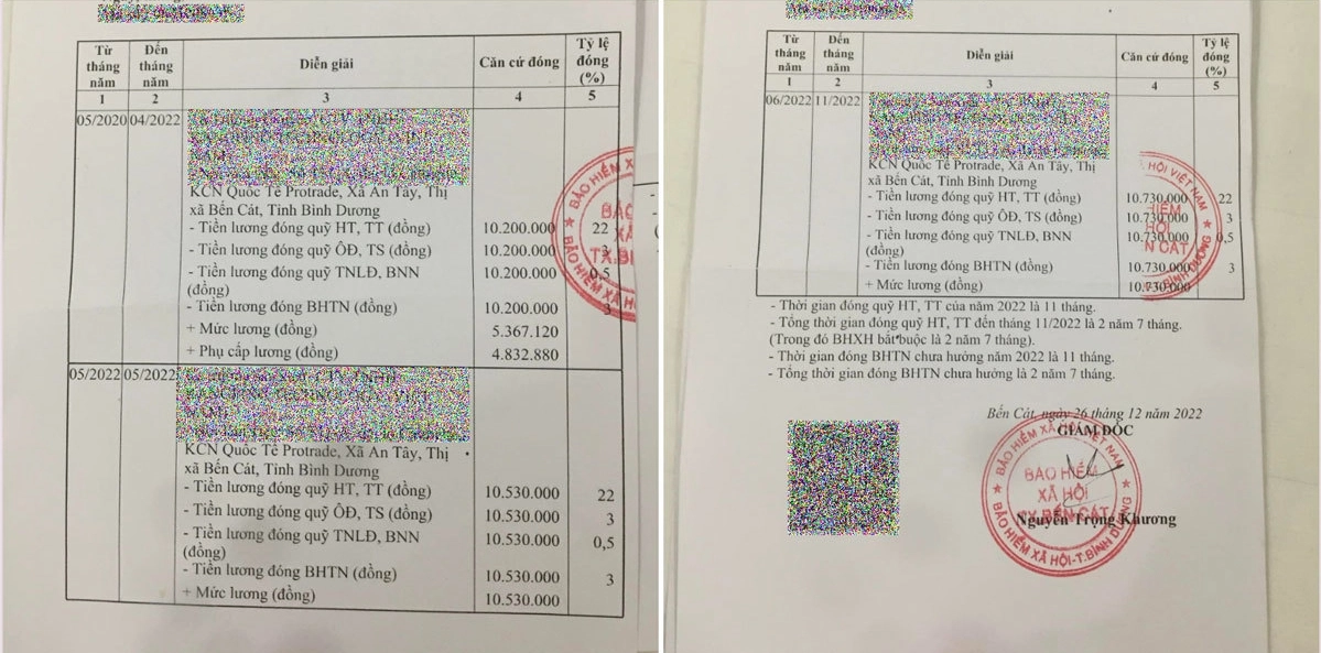 Bảo hiểm xã hội là gì? Quyền lợi bạn cần biết khi tham gia 5 tra cứu thông tin vhxh