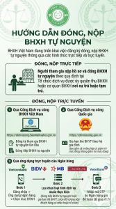 cách đóng bảo hiểm xã hội tự nguyện online và trực tiếp
