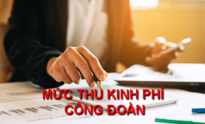 Kinh phí công đoàn 2026: Mức đóng 2%, thời hạn và trường hợp miễn giảm