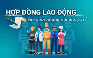 noi dung hop dong gom nhung gi