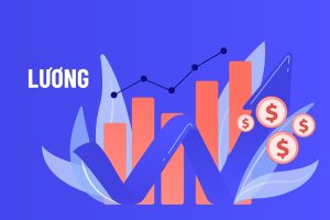 Bậc lương và hệ số lương: 7 điều cần biết để tránh bị thiệt